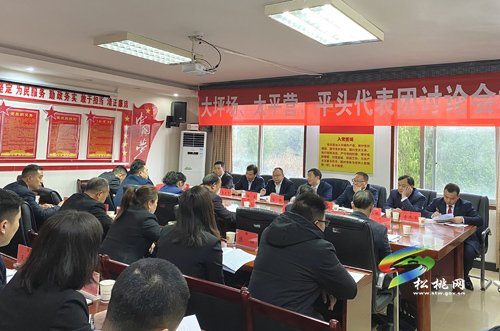 人大代表分團(tuán)審議縣人大常委會(huì)與“兩院”工作報(bào)告