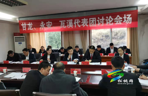 人大代表分團(tuán)審議縣人大常委會(huì)與“兩院”工作報(bào)告