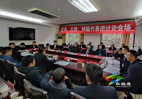 人大代表分團(tuán)審議縣人大常委會(huì)與“兩院”工作報(bào)告
