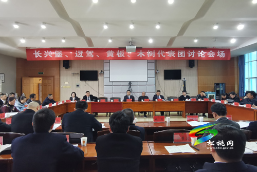 人大代表分團(tuán)審議縣人大常委會(huì)與“兩院”工作報(bào)告