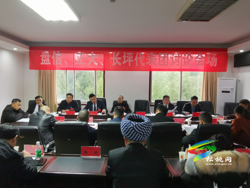 人大代表分團(tuán)審議縣人大常委會(huì)與“兩院”工作報(bào)告