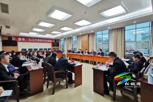 人大代表分團(tuán)審議縣人大常委會(huì)與“兩院”工作報(bào)告
