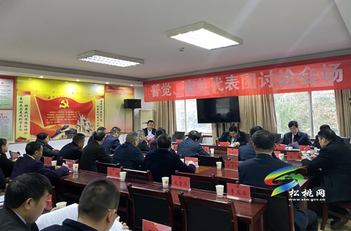 人大代表分團(tuán)審議縣人大常委會(huì)與“兩院”工作報(bào)告