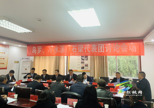 人大代表分團(tuán)審議縣人大常委會(huì)與“兩院”工作報(bào)告