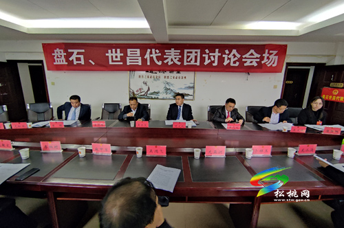 人大代表分團(tuán)審議縣人大常委會(huì)與“兩院”工作報(bào)告