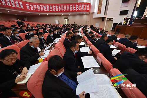 【牢記殷切囑托、忠誠干凈擔(dān)當(dāng)、喜迎建黨百年】松桃召開黨史學(xué)習(xí)教育動(dòng)員大會(huì)