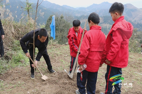 植樹(shù)節(jié)這天的“紅領(lǐng)巾們”