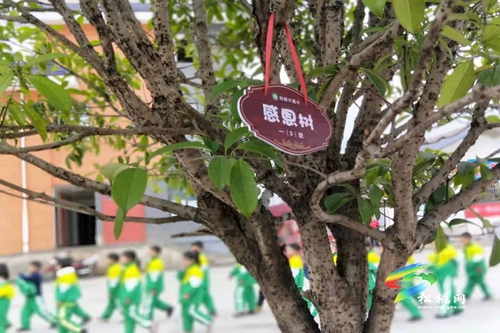 植樹(shù)節(jié)這天的“紅領(lǐng)巾們”