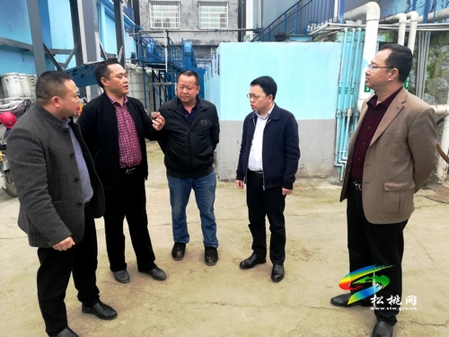 ​楊昌海張軍到蓼皋街道調(diào)研生態(tài)環(huán)境保護(hù)工作