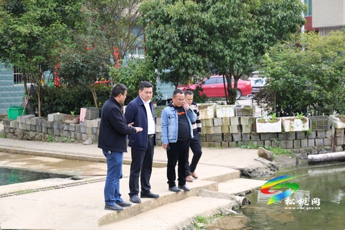 胡定欽到盤信鎮(zhèn)督導生態(tài)環(huán)境保護工作