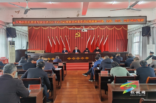 吳峰到迓駕鎮(zhèn)宣講習近平總書記視察貴州重要講話精神和全國、全省、全市、全縣“兩會”精神