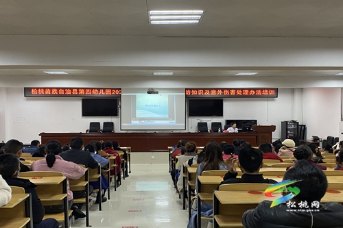 松桃第四幼兒園舉辦春季常見傳染病預(yù)防知識及意外傷害處理辦法專項(xiàng)培訓(xùn)