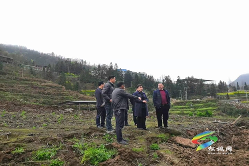 冉光珍到甘龍鎮(zhèn)開展河道淤泥清理及污水處理廠工程進度督導(dǎo)工作