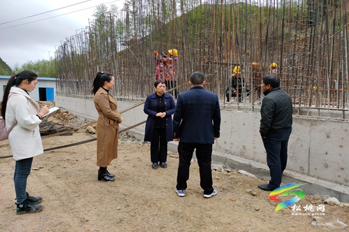 冉光珍到甘龍鎮(zhèn)開展河道淤泥清理及污水處理廠工程進度督導(dǎo)工作
