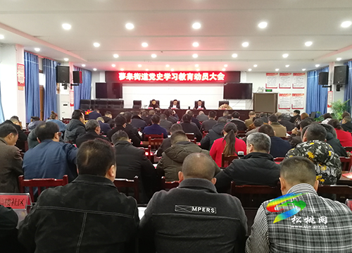 蓼皋街道召開黨史學習教育動員大會