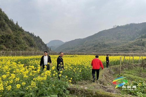 普覺鎮(zhèn)開展禁種鏟毒踏查大行動