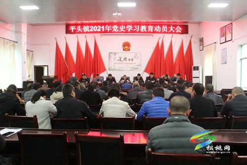 【奮斗百年路 啟航新征程】平頭鎮(zhèn)召開年黨史學習教育動員大會