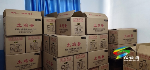 九江街道小桂寅社區(qū)：蛋雞產(chǎn)業(yè)發(fā)展旺 鄉(xiāng)村振興開新局