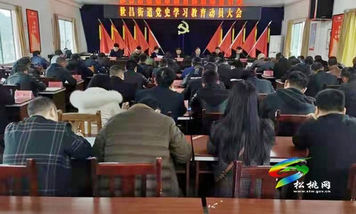 【奮斗百年路 啟航新征程】世昌街道召開黨史學習教育動員會