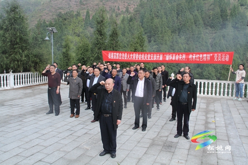 【奮斗百年路 啟航新征程】縣人大常委會機關(guān)黨支部開展“緬懷革命先烈 傳承紅色能量”黨員活動
