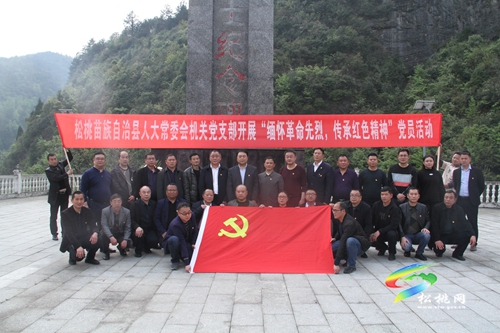 【奮斗百年路 啟航新征程】縣人大常委會機關(guān)黨支部開展“緬懷革命先烈 傳承紅色能量”黨員活動