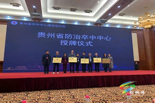 松桃人民醫(yī)院榮獲全省“防治卒中中心”認(rèn)證授牌