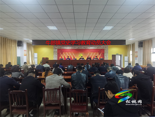 【奮斗百年路 啟航新征程】牛郎鎮(zhèn)召開黨史學(xué)習(xí)教育動員大會