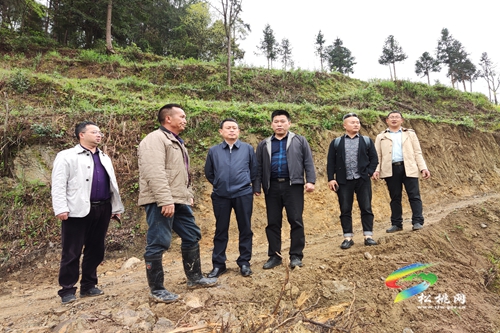 龍群躍到甘龍永安石梁調(diào)研鄉(xiāng)村振興、打擊治理電信網(wǎng)絡(luò)違法犯罪等工作