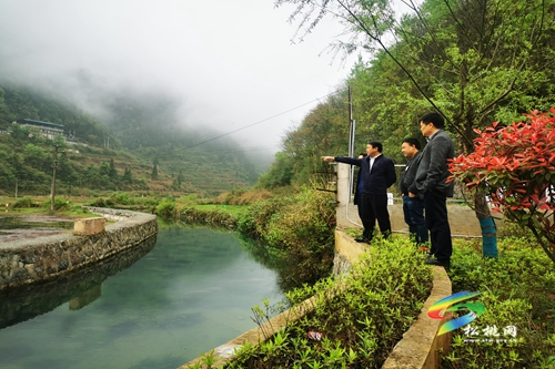 唐永明到盤信鎮(zhèn)老云河開展巡河工作