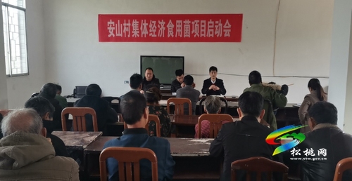 【奮斗百年路 啟航新征程】學黨史踐初心  孟溪鎮(zhèn)“四力”改善民生
