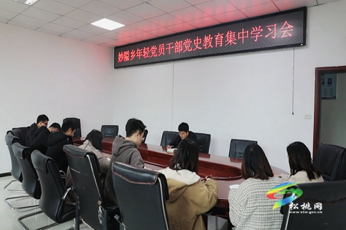 【奮斗百年路 啟航新征程】妙隘鄉(xiāng)：“小舉措”發(fā)揮“大實(shí)效”學(xué)習(xí)黨史蔚然成風(fēng)