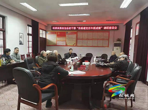 【奮斗百年路 啟航新征程】松桃召開“我看建黨百年新成就”專題調(diào)研座談會(huì)