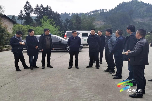龍群躍到城區(qū)、平頭調(diào)研生態(tài)環(huán)境治理工作