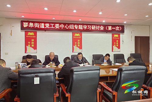 【奮斗百年路 啟航新征程】蓼皋街道開展黨史學(xué)習(xí)教育第一次專題學(xué)習(xí)研討會(huì)