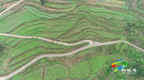 妙隘鄉(xiāng)：新莊村的路網(wǎng)經(jīng)濟(jì)