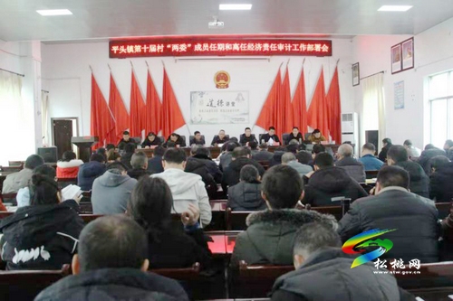 平頭鎮(zhèn)“四措并舉”率先完成村（社區(qū)）兩委成員任期和離任經(jīng)濟(jì)責(zé)任審計(jì)工作
