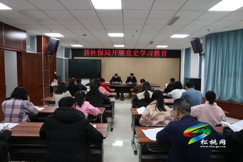 【奮斗百年路 啟航新征程】松桃人社局:黨支部上下聯(lián)動(dòng)高效推動(dòng)人社綜合服務(wù)智能、便民