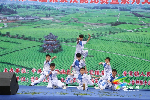 “茶旅”融合助力鄉(xiāng)村振興