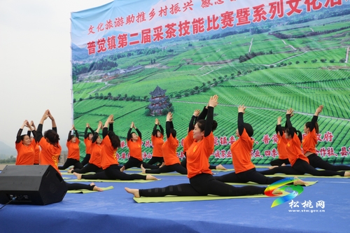 “茶旅”融合助力鄉(xiāng)村振興