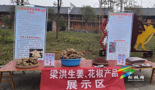 政府“搭臺”  群眾“唱戲”