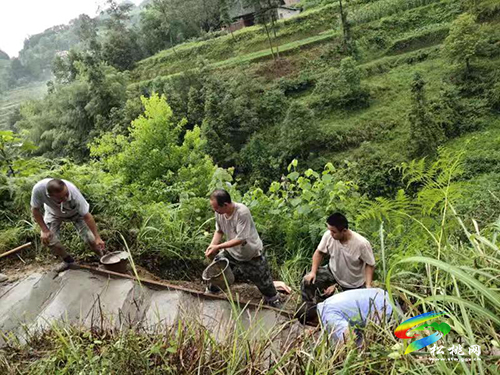 執(zhí)著奉獻(xiàn)不言悔