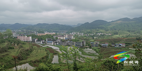 “沿長江黃河行，鑄黨的百年魂”活動系列報道（二）
