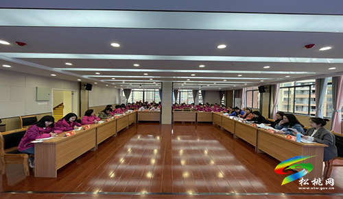 銅仁市學前教育評估專家來松桃實驗幼兒園進行省級示范幼兒園復查與評估前視導