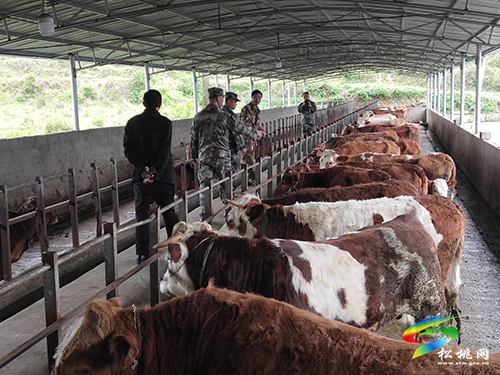​松桃退役軍人事務(wù)局首個(gè)退役軍人就業(yè)創(chuàng)業(yè)基地揭牌成立