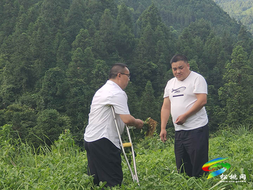 ​一片丹心向扶貧