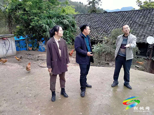 ​張軍到九江街道調(diào)研蛋雞養(yǎng)殖產(chǎn)業(yè)發(fā)展工作