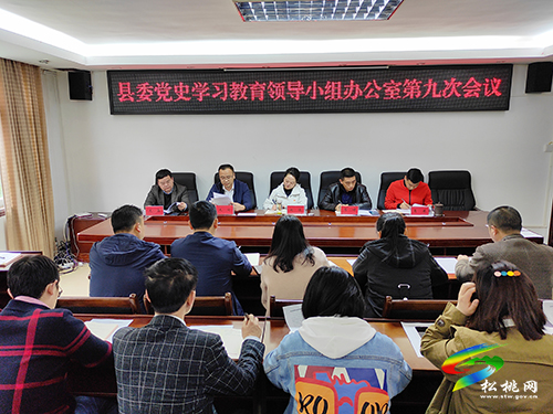 【奮斗百年路　啟航新征程】縣委黨史學習教育領(lǐng)導小組辦公室召開第九次會議