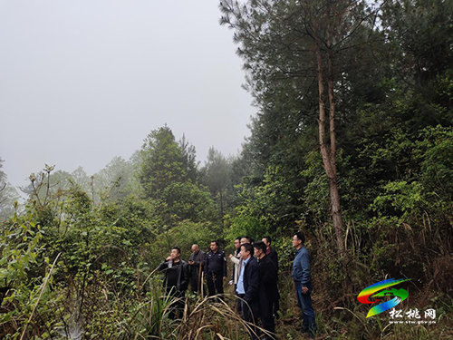 松桃德康牧業(yè)在盤石新增4個(gè)生豬規(guī)模養(yǎng)殖代養(yǎng)點(diǎn)
