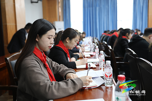 ​銅仁市少工委一行赴松觀摩少先隊(duì)工作并召開市少工委一屆四次全委（擴(kuò)大）會議