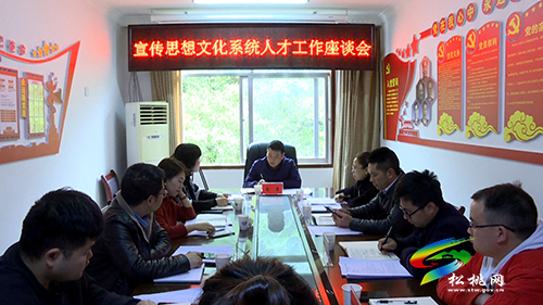 松桃宣傳思想文化系統(tǒng)人才工作座談會(huì)召開(kāi)